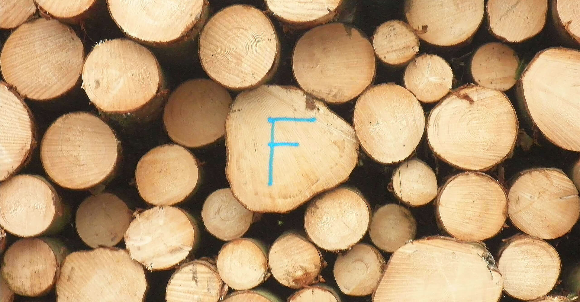 Holzstapel mit blauem F